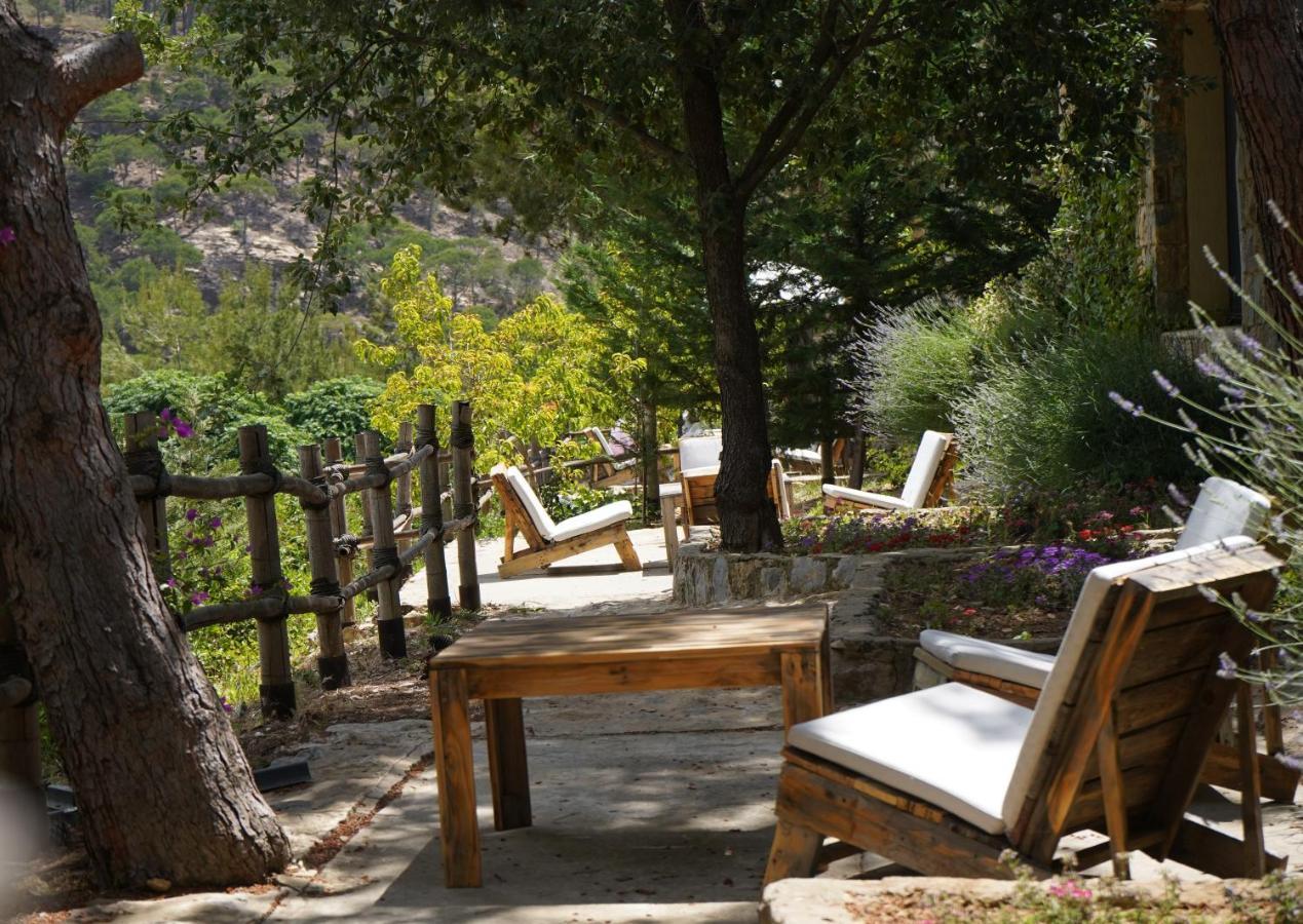 Blue Jay Valley Jezzîne Exterior foto