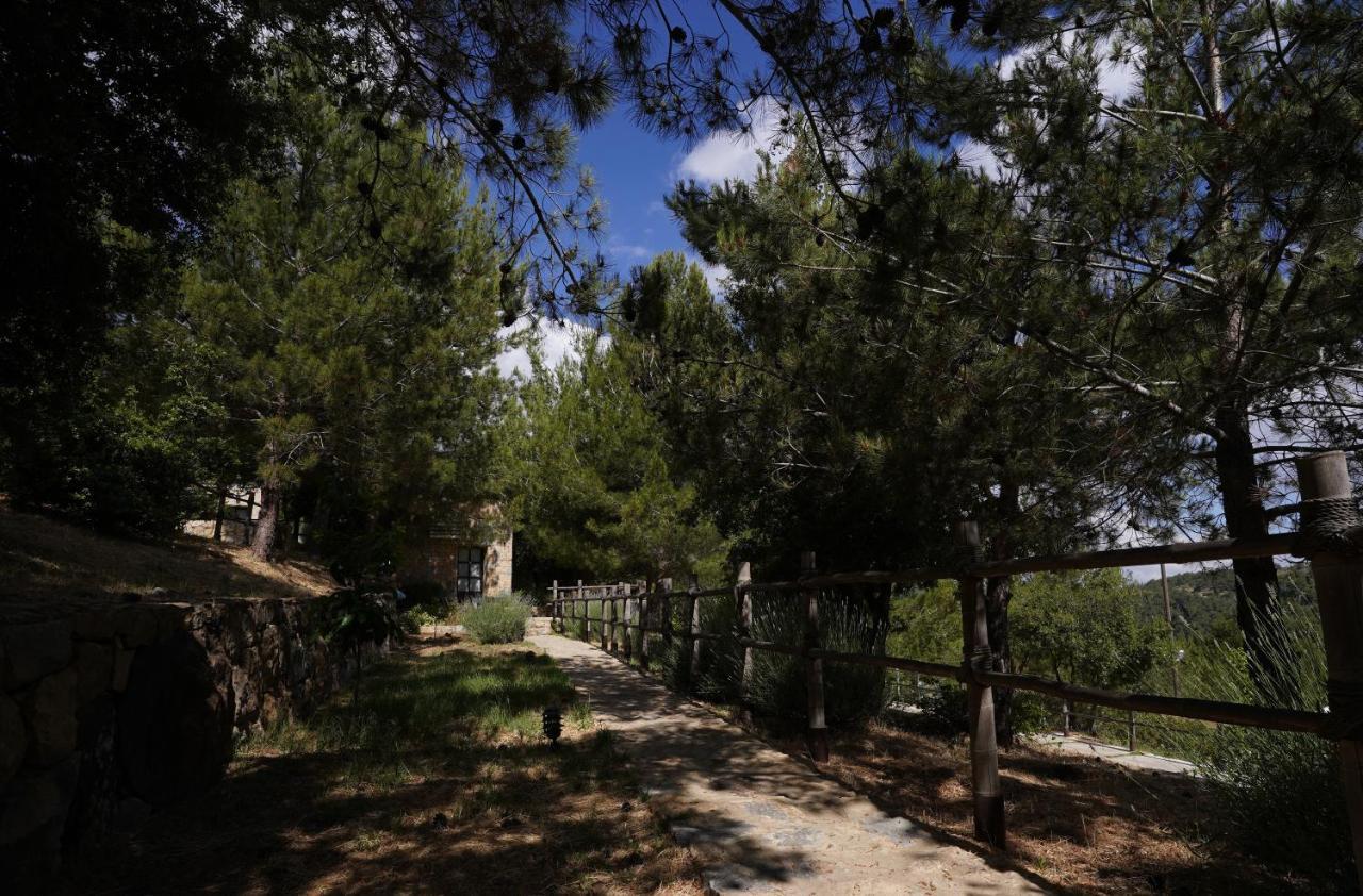 Blue Jay Valley Jezzîne Exterior foto